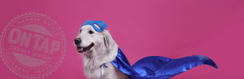 Dog In A Mask And Cape